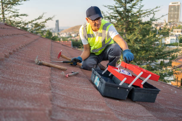 Best Insulated Siding Installation  in Muncy, PA